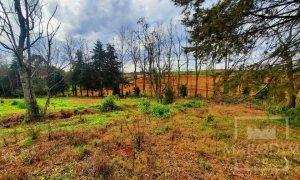 Área com 36000m², Nao suíte, no bairro Interior em Marau