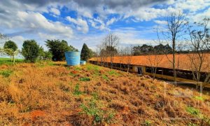Área com 36000m², Nao suíte, no bairro Interior em Marau