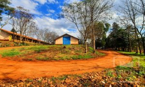 Área com 36000m², Nao suíte, no bairro Interior em Marau