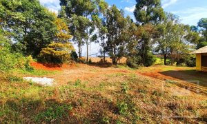 Área com 36000m², Nao suíte, no bairro Interior em Marau