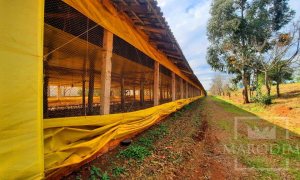 Área com 36000m², Nao suíte, no bairro Interior em Marau