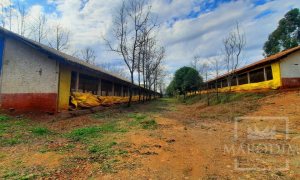 Área com 36000m², Nao suíte, no bairro Interior em Marau