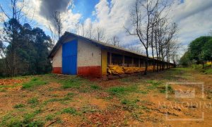 Área com 36000m², Nao suíte, no bairro Interior em Marau