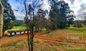 Área com 36000m², Nao suíte, no bairro Interior em Marau