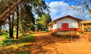 Área com 36000m², Nao suíte, no bairro Interior em Marau