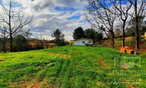 Área com 36000m², Nao suíte, no bairro Interior em Marau