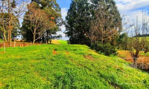 Área com 36000m², Nao suíte, no bairro Interior em Marau