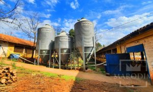 Área com 36000m², Nao suíte, no bairro Interior em Marau