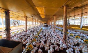 Área com 36000m², Nao suíte, no bairro Interior em Marau