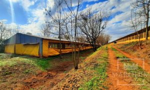 Área com 36000m², Nao suíte, no bairro Interior em Marau