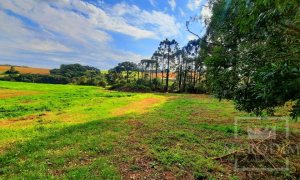 Área com 36000m², Nao suíte, no bairro Interior em Marau