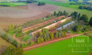 Área com 36000m², Nao suíte, no bairro Interior em Marau