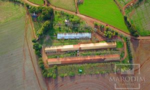 Área com 36000m², Nao suíte, no bairro Interior em Marau