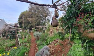Terreno com 711m², Nao suíte, no bairro Bosque em Marau