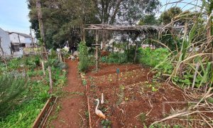 Terreno com 711m², Nao suíte, no bairro Bosque em Marau