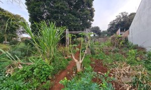 Terreno com 711m², Nao suíte, no bairro Bosque em Marau