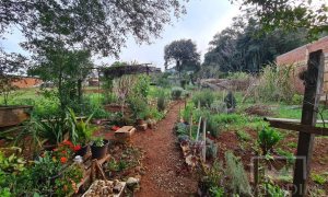 Terreno com 711m², Nao suíte, no bairro Bosque em Marau