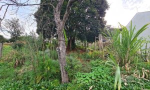 Terreno com 711m², Nao suíte, no bairro Bosque em Marau