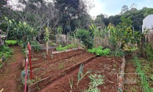 Terreno com 711m², Nao suíte, no bairro Bosque em Marau