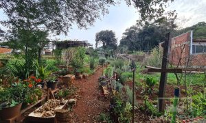 Terreno com 711m², Nao suíte, no bairro Bosque em Marau