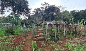 Terreno com 711m², Nao suíte, no bairro Bosque em Marau