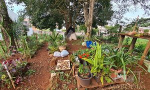 Terreno com 711m², Nao suíte, no bairro Bosque em Marau