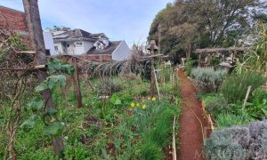Terreno com 711m², Nao suíte, no bairro Bosque em Marau