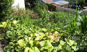 Terreno com 391m², Nao suíte, no bairro Progresso em Marau