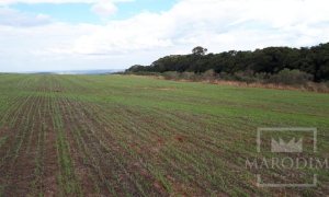 Área com 17500m², Nao suíte, no bairro Frei Adelar em Marau