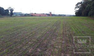 Área com 17500m², Nao suíte, no bairro Frei Adelar em Marau