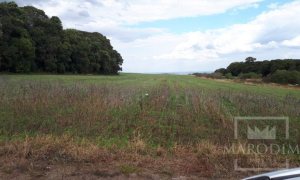 Área com 17500m², Nao suíte, no bairro Frei Adelar em Marau
