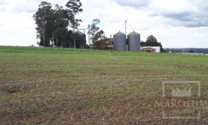 Área com 17500m², Nao suíte, no bairro Frei Adelar em Marau