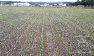 Área com 17500m², Nao suíte, no bairro Frei Adelar em Marau