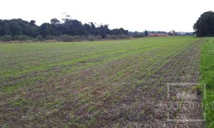 Área com 17500m², Nao suíte, no bairro Frei Adelar em Marau