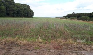 Área com 17500m², Nao suíte, no bairro Frei Adelar em Marau