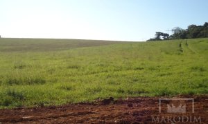 Terreno com 26933000m², Nao suíte, no bairro Borges de Medeiros em Marau
