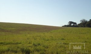 Terreno com 26933000m², Nao suíte, no bairro Borges de Medeiros em Marau