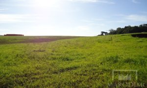 Terreno com 26933000m², Nao suíte, no bairro Borges de Medeiros em Marau
