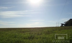 Terreno com 26933000m², Nao suíte, no bairro Borges de Medeiros em Marau