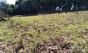 Área com 4600m², Nao suíte, no bairro Loteamento Busnello em Marau