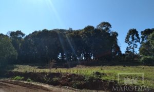 Área com 4600m², Nao suíte, no bairro Loteamento Busnello em Marau