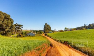 Área com 148000m², Nao suíte, no bairro Interior em Marau