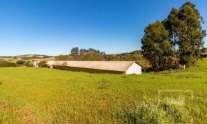 Área com 148000m², Nao suíte, no bairro Interior em Marau