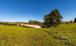 Área com 148000m², Nao suíte, no bairro Interior em Marau