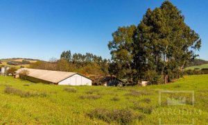 Área com 148000m², Nao suíte, no bairro Interior em Marau