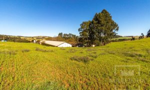 Área com 148000m², Nao suíte, no bairro Interior em Marau