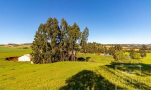 Área com 148000m², Nao suíte, no bairro Interior em Marau