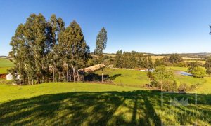 Área com 148000m², Nao suíte, no bairro Interior em Marau