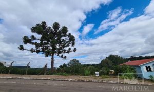 Terreno com 645m², Nao suíte, no bairro Loteamento Falquembach em Marau