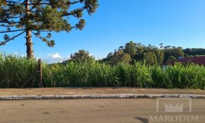 Terreno com 645m², Nao suíte, no bairro Loteamento Falquembach em Marau
